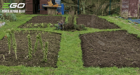 WAS SIE VOR DEM FRÜHLING MIT IHREN GARTENBEETEN MACHEN SOLLTEN