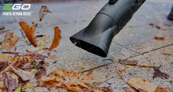 HERBSTLAUB SINNVOLL NUTZEN - SO GEHT’S!